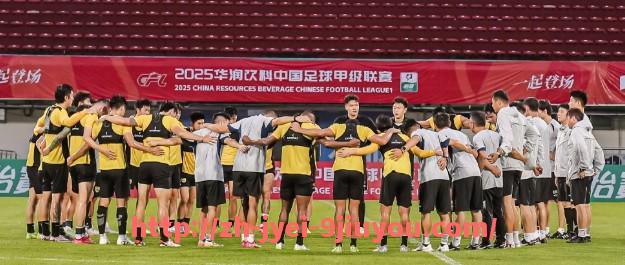 jiuyou九游娱乐-法甲外援与本土球员的合作模式及效果分析